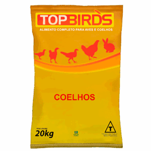 Top Birds - Coelhos