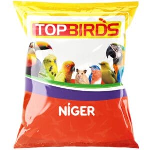 Top Birds - Níger
