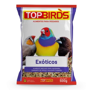 Top Birds - Exóticos