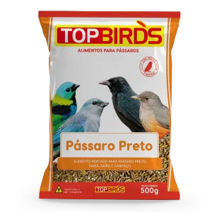 Top Birds - Pássaro Preto