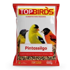 Top Birds - Pintassilgo